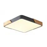 Светильник потолочный ZORTES ALBERRO ZRS.01288.36 LED 36Вт от ImperiumLoft