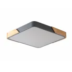 Светильник потолочный ZORTES ALBERRO ZRS.01288.36 LED 36Вт от ImperiumLoft