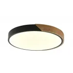 Светильник потолочный с пультом ZORTES ALBERRO ZRS.01287.36 LED 36Вт от ImperiumLoft