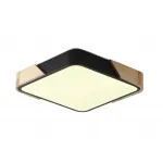 Светильник потолочный ZORTES ALBERRO ZRS.01281.60 LED 60Вт от ImperiumLoft