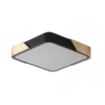 Светильник потолочный ZORTES ALBERRO ZRS.01281.60 LED 60Вт от ImperiumLoft